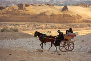 Balade-a-caleche-Hurghada-Dream-3-870x555