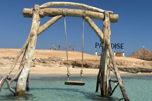 WhatsApp Image 2025-10-03 at 14.49.30