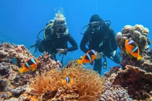 depositphotos_606053978-stock-photo-scuba-divers-couple-beautiful-coral