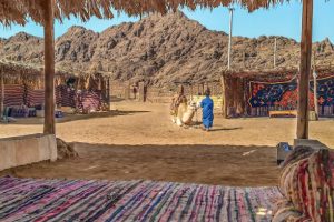 Sharm El Sheikh, Egypt - January 21, 2020: A Bedouin child feeds a camel in a Bedouin village near Sharm El Sheikh. Resting place in the Sinai Desert against the backdrop of stone mountains